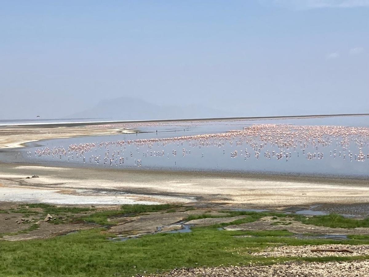 Lake Natron Maasai Guesthouse Mtowabaga Eksteriør bilde