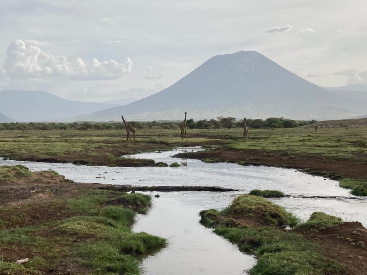 Lake Natron Maasai Guesthouse Mtowabaga Eksteriør bilde