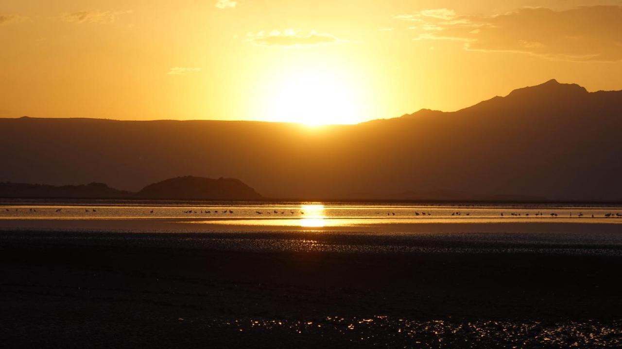 Lake Natron Maasai Guesthouse Mtowabaga Eksteriør bilde